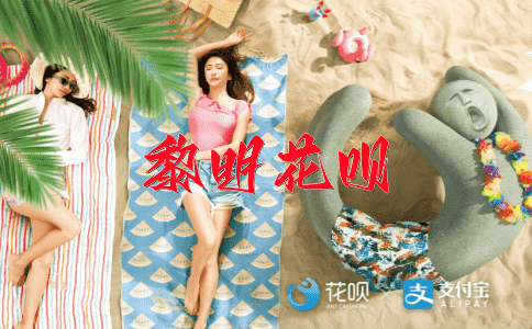 阴险狡诈花呗